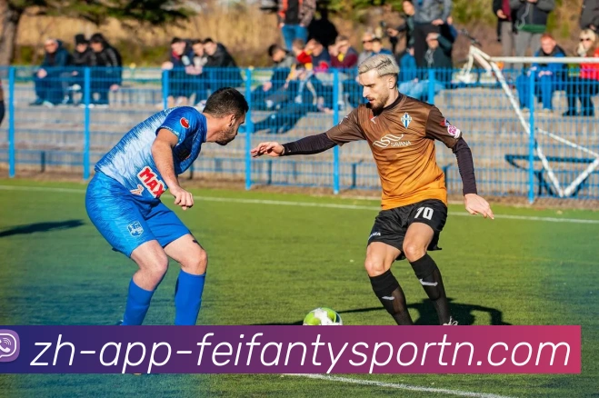 非凡体育APP 封面图